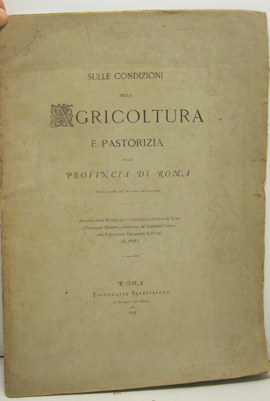 SULLE CONDIZIONI DELLA AGRICOLTURA E PASTORIZIA DELLA PROVINCIA DI ROMA. Notizie raccolte dalla Direzione dell'Agricoltura.
